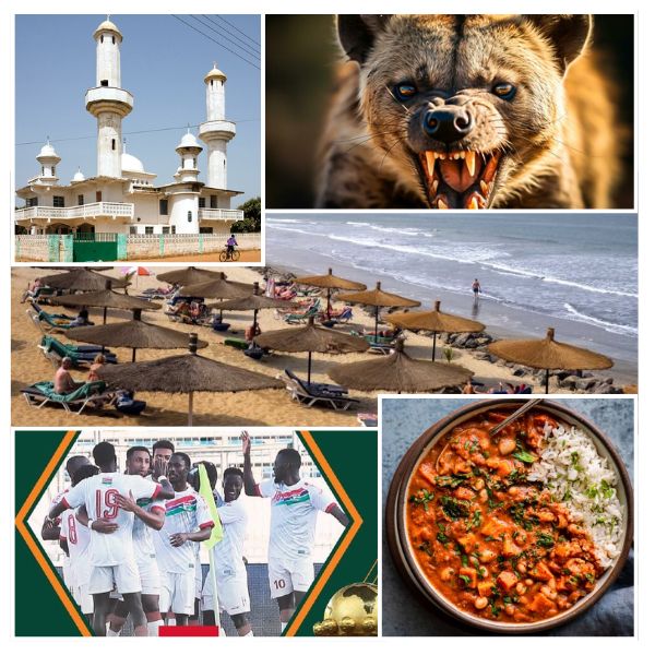 India Gambia Business and Cultural Council - About Gambia 