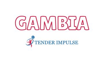 India Gambia Business and Cultural council - Tender listing in Tender Impulse